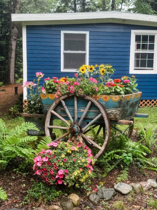 Antique wooden wagon with folk art painting used as a garden planter filled with dahlias, zinnias, and sunflowers in front of a blue cabin